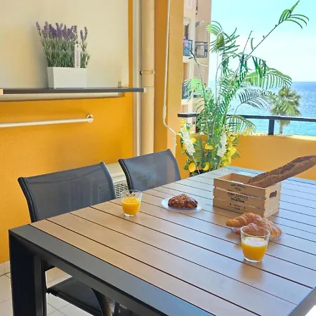 Palme D'azur 553 칸느