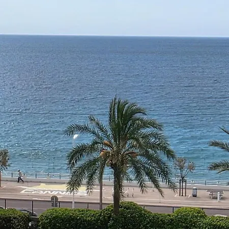 Palme D'azur 553 아파트 칸느