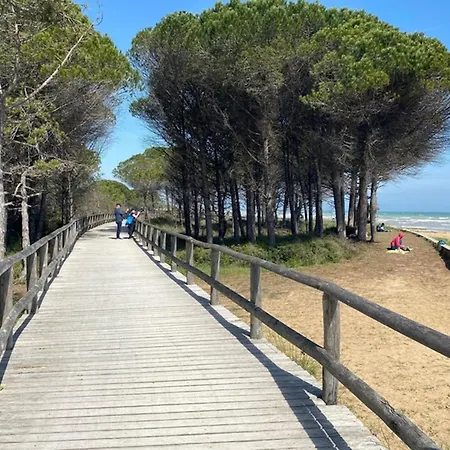 Palme D'azur 553 Appartamento Cannes