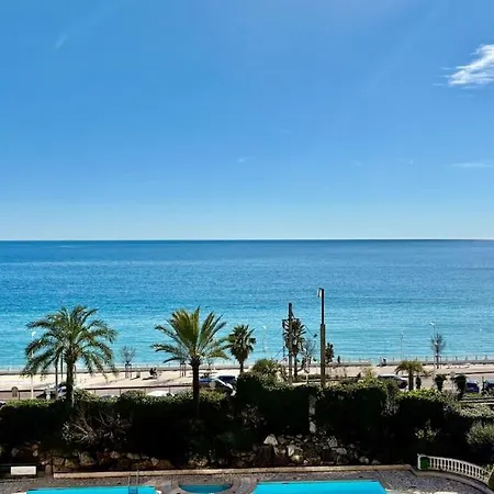 Palme D'azur 553